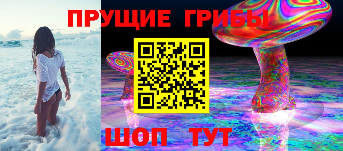 Георгиевск  Галлюциногенные грибы мицелий  Вход с VPN 