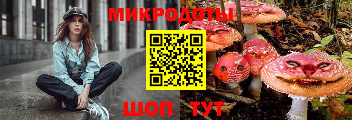 Псилоцибиновые грибы прущие грибы Георгиевск